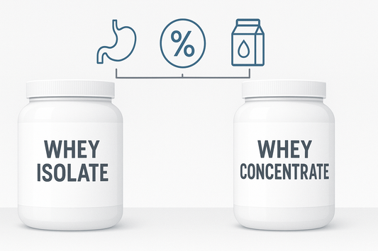 Whey isolate vs whey concentrée : les vraies différences pour la musculation